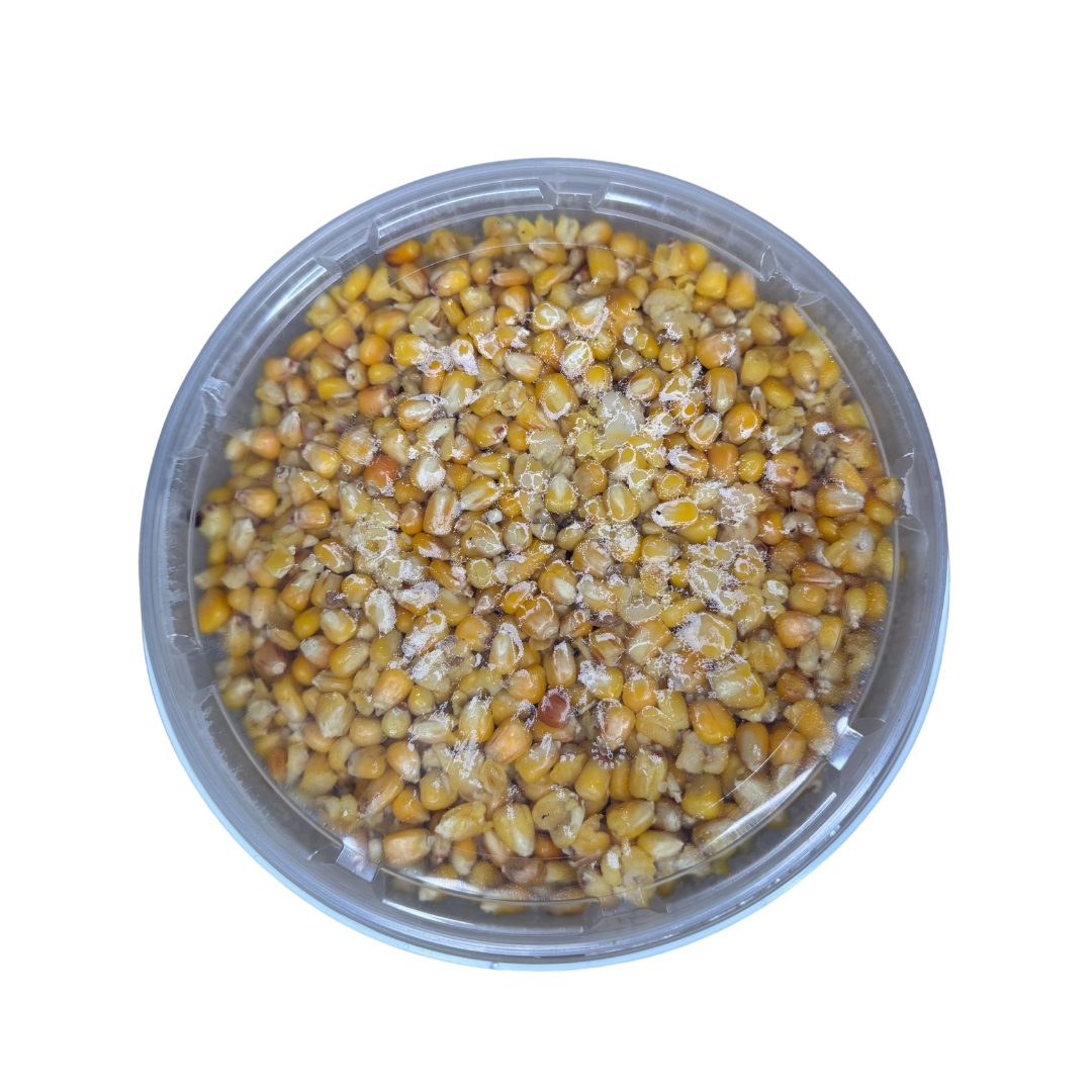Mais 3kg NikoPesca
