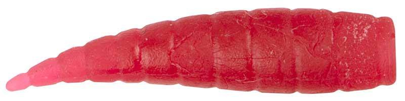 POP UP MAGGOT