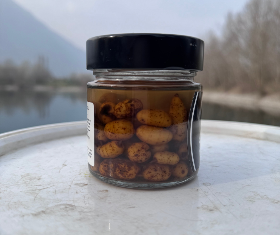 NikoPesca -Tigernuts XXL da innesco