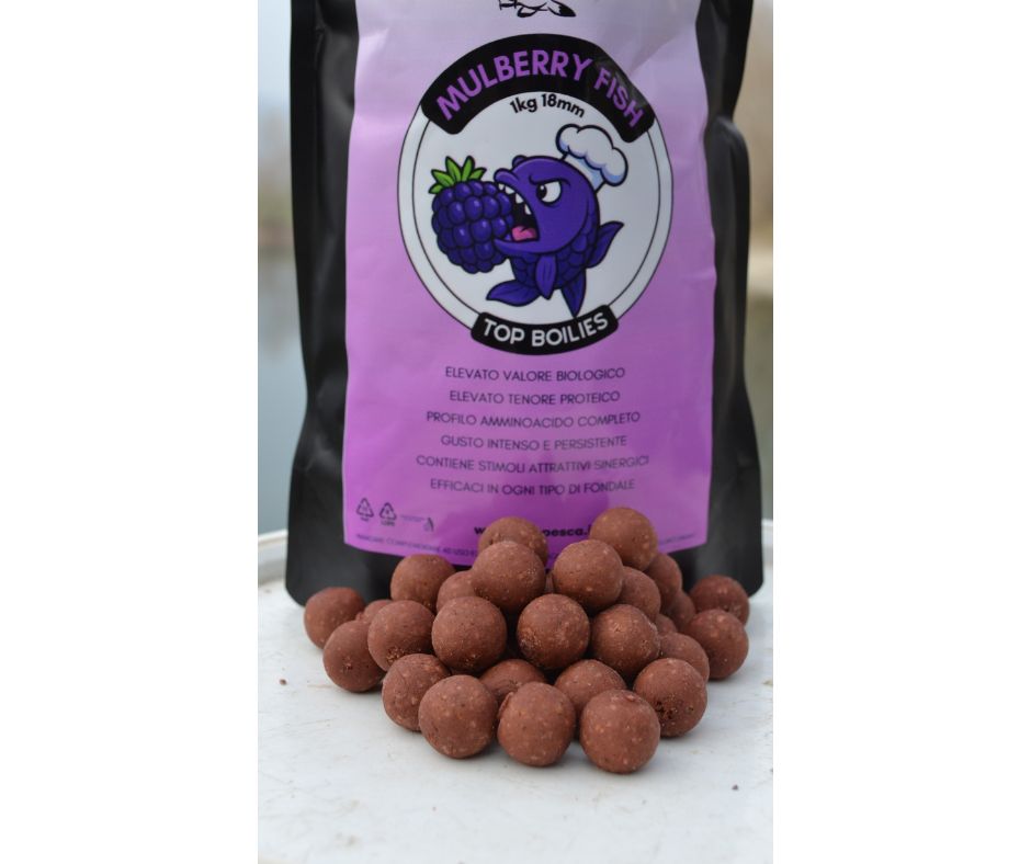 top boilies - mulberry fish 1kg