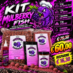 Kit promozione